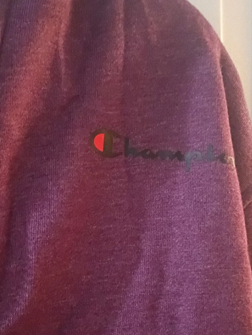 Champion Half-Zip Hoodie in Plum and Black